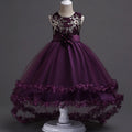 Robe tutu fille à fleurs brodées FD028 – CLEVI Paris