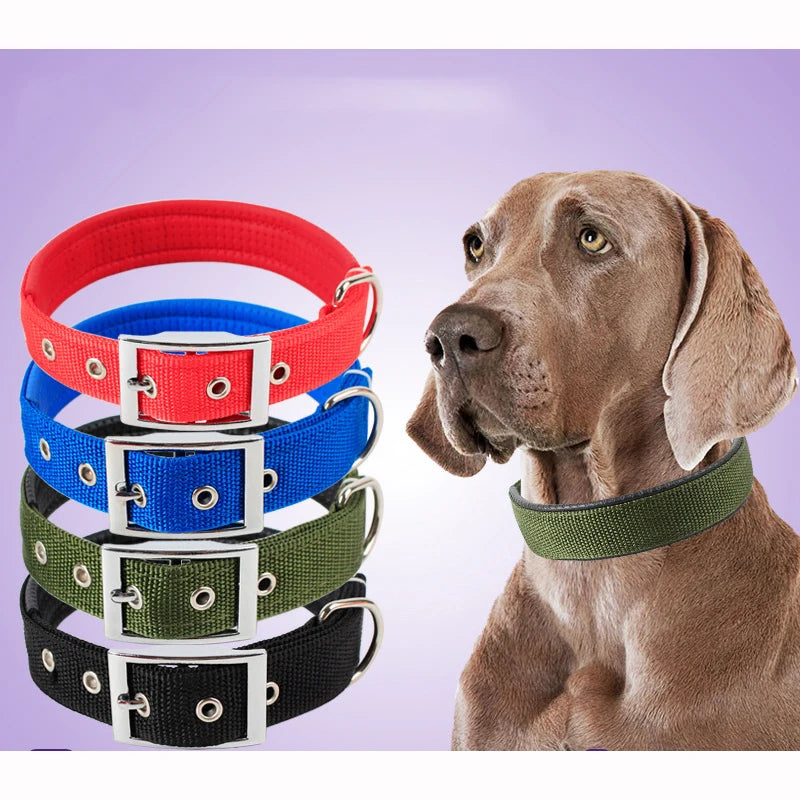 Collier pour chien en nylon uni – CLEVI Paris