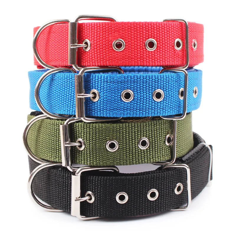 Collier pour chien en nylon uni – CLEVI Paris