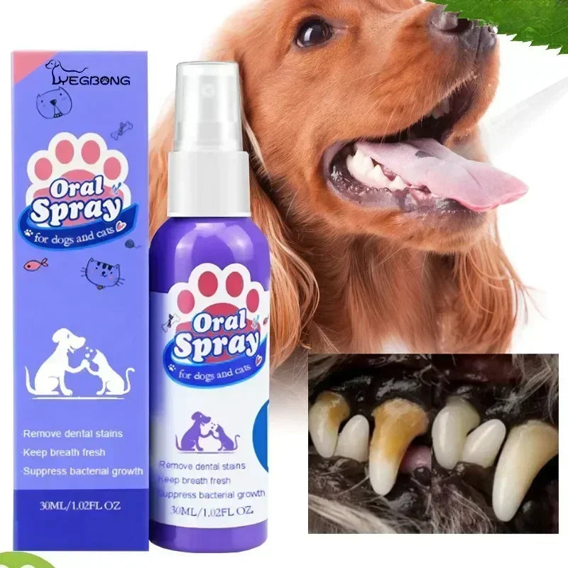 Spray buccal animaux 30 ml et lingettes – CLEVI Paris
