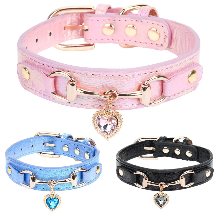 Collier pour chien en cuir et strass réglable – CLEVI Paris