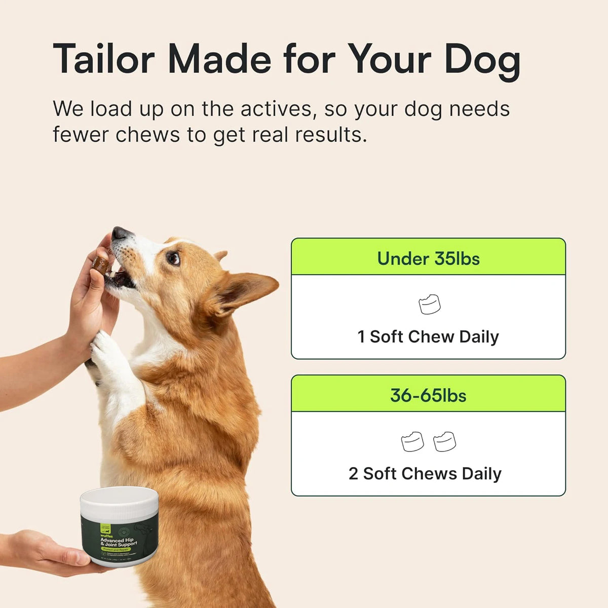 Complément pour chien 60 comprimés à mâcher – CLEVI Paris