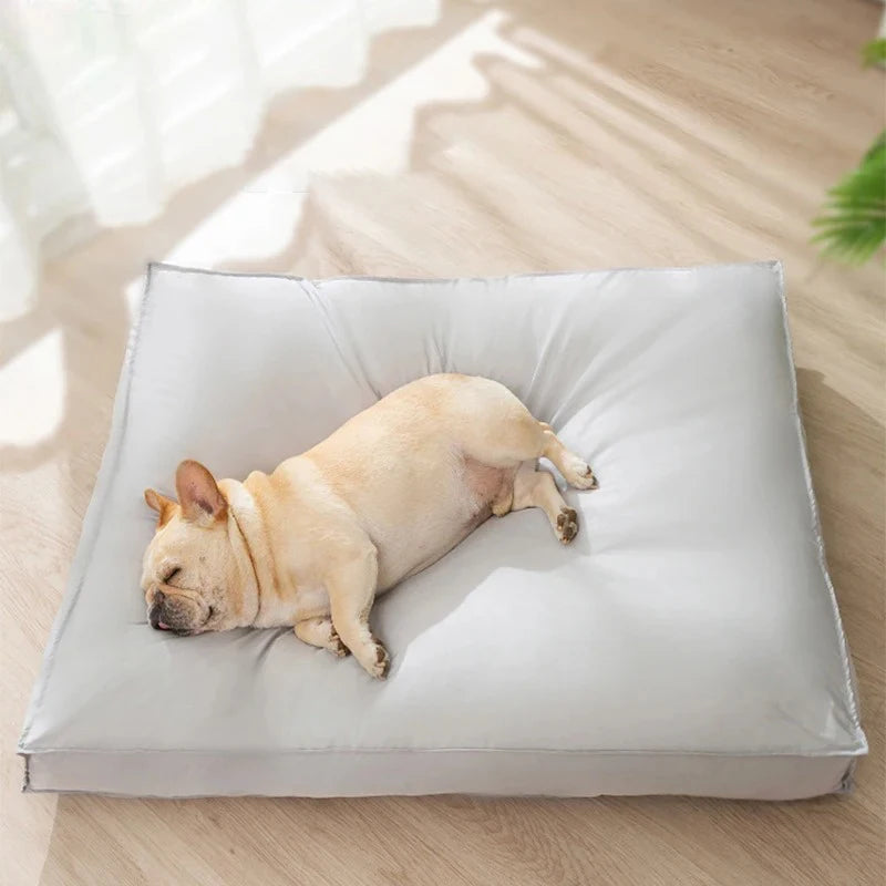 Lit imperméable pour chien et chat – CLEVI Paris