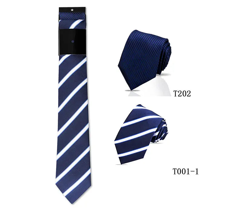Ensemble de 2 cravates homme élégantes – CLEVI Paris