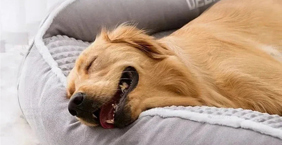 Lit chien et chat en velours côtelé – CLEVI Paris