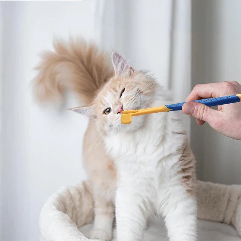 Kit de toilettage chien et chat 8 pièces – CLEVI Paris