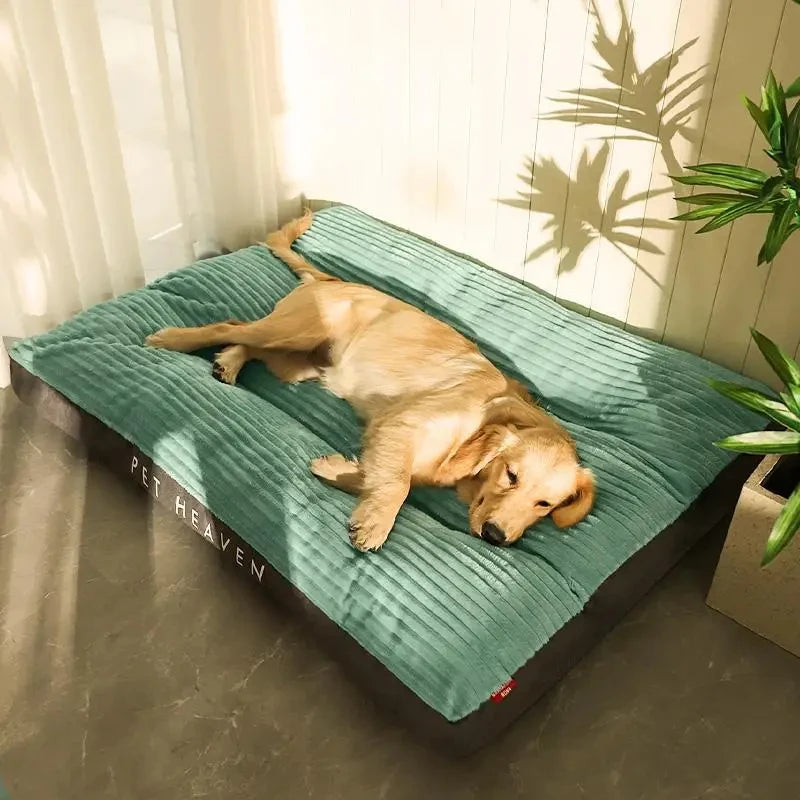 Coussin pour chien en velours côtelé lavable – CLEVI Paris