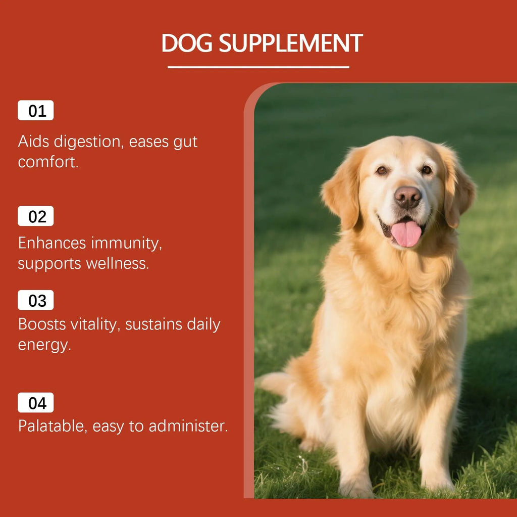 Poudre probiotique pour chien 100 g – CLEVI Paris
