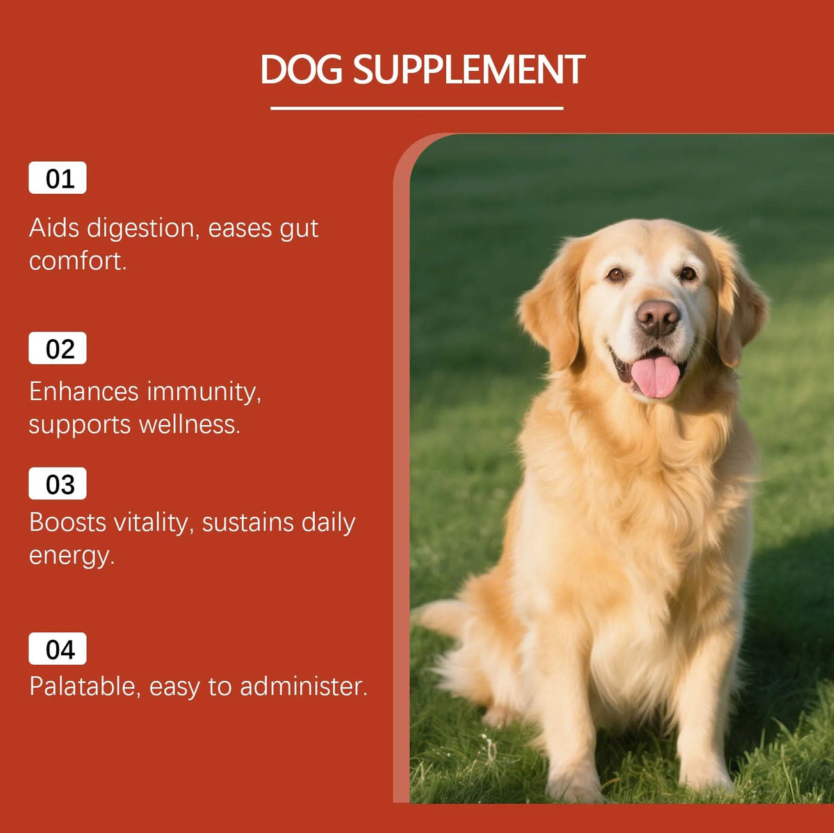Poudre probiotique pour chien 100 g – CLEVI Paris