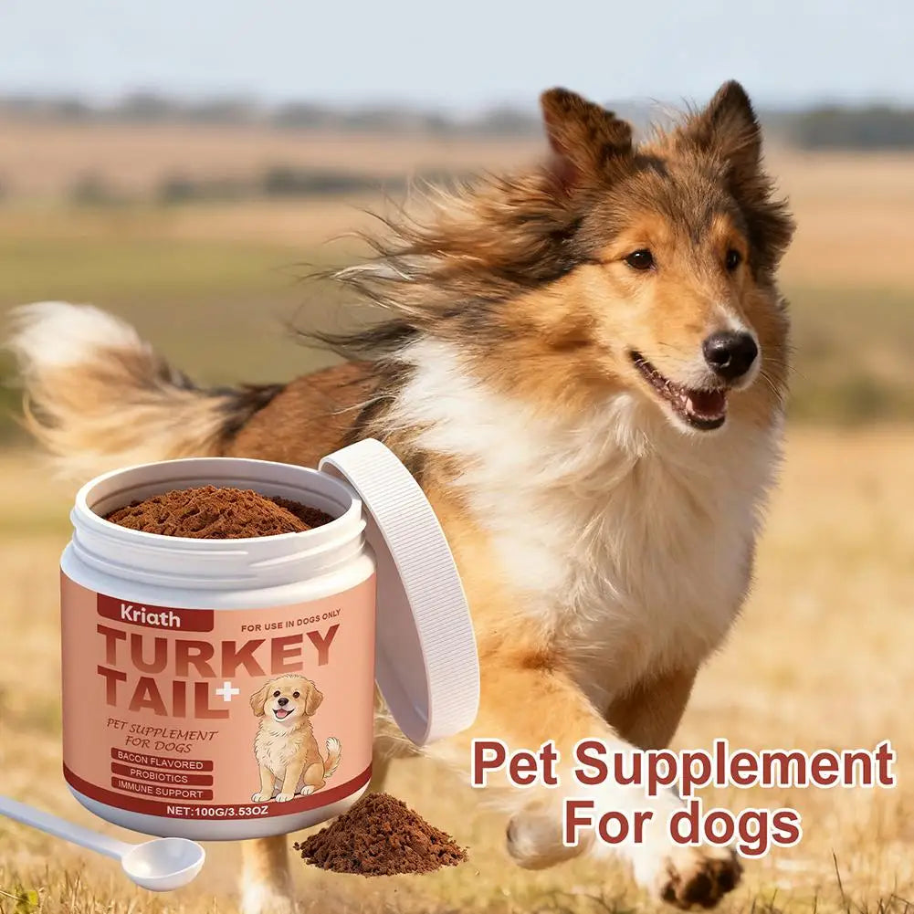 Complément chien senior en poudre 100 g – CLEVI Paris
