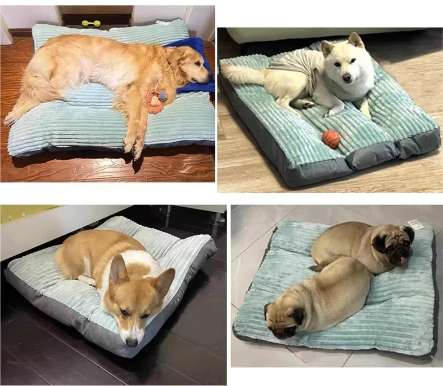Coussin pour chien en velours côtelé lavable – CLEVI Paris