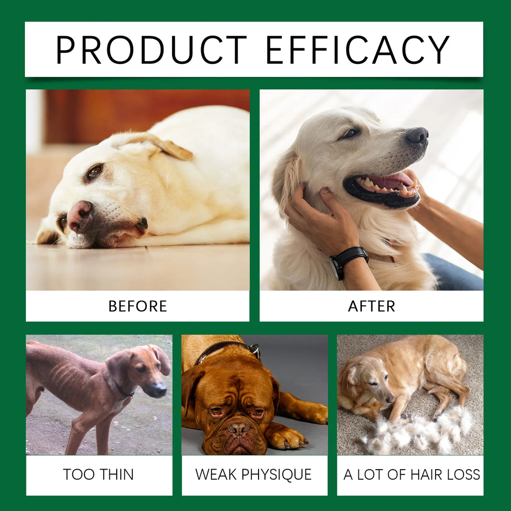 Complément multivitaminé pour chien – CLEVI Paris