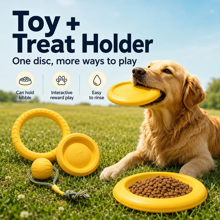 Ensemble de jouets pour chien – CLEVI Paris