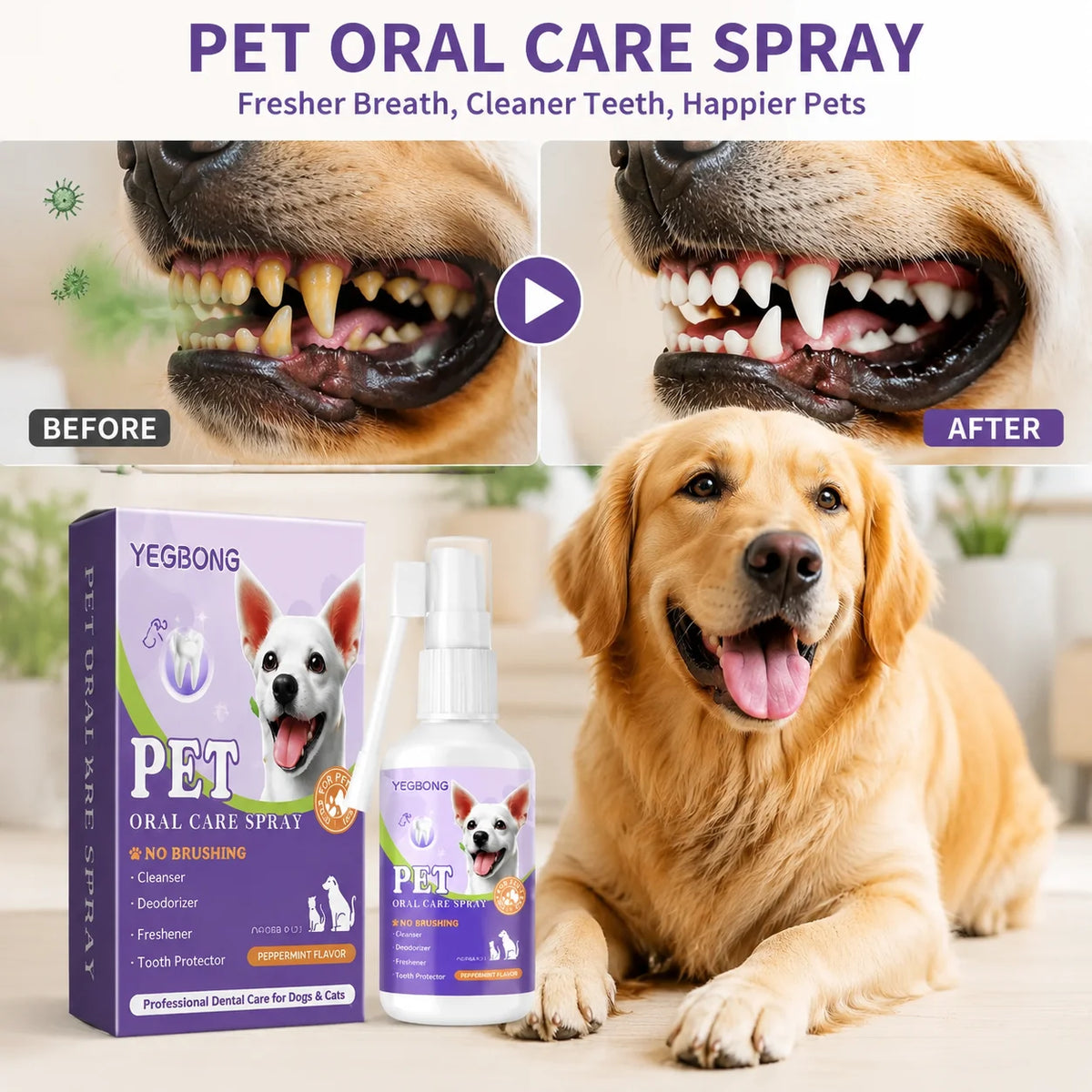 Spray bucco-dentaire chiens & chats – CLEVI Paris