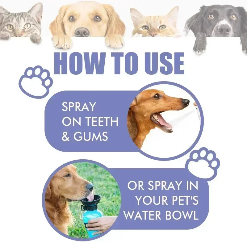 Spray buccal animaux 30 ml et lingettes – CLEVI Paris