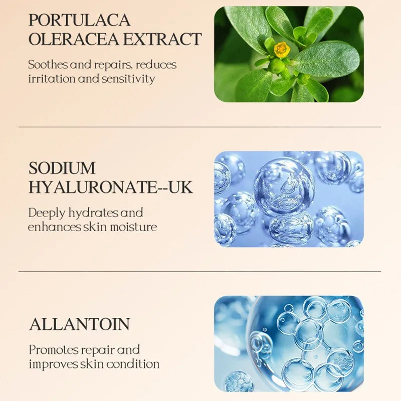 Set Ampoules Sérum Vitamine C & Niacinamide – Hydratant, Éclaircissant & Anti-Rides – CLEVI Paris
