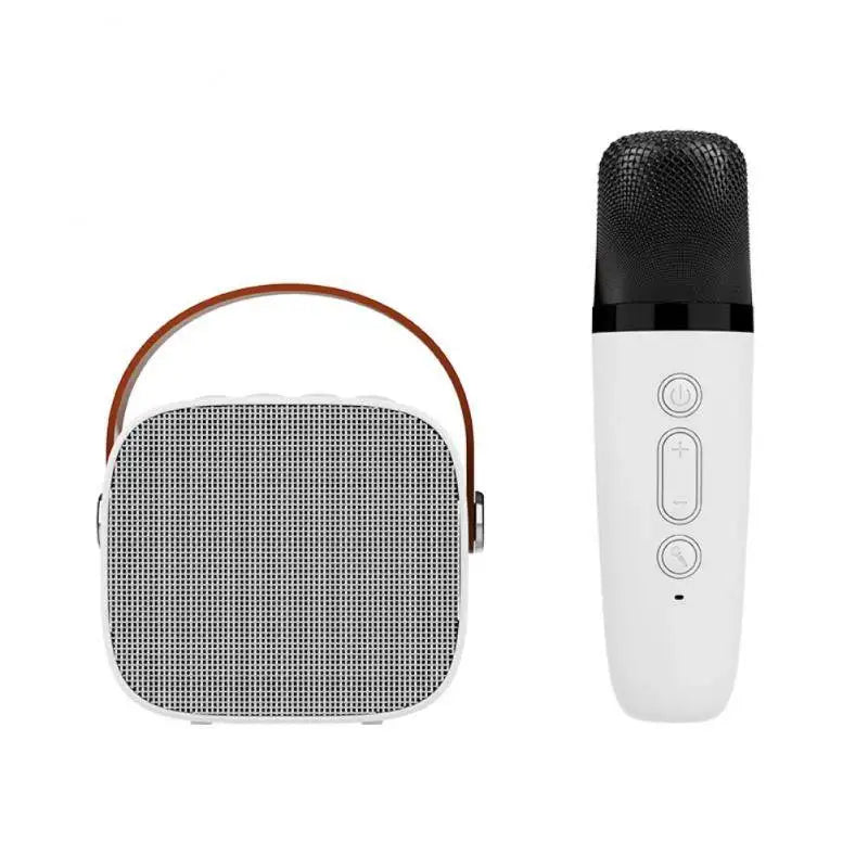 Machine Karaoké Portable Bluetooth 5.0 Micro Sans Fil Enfants & Adultes – CLEVI Paris