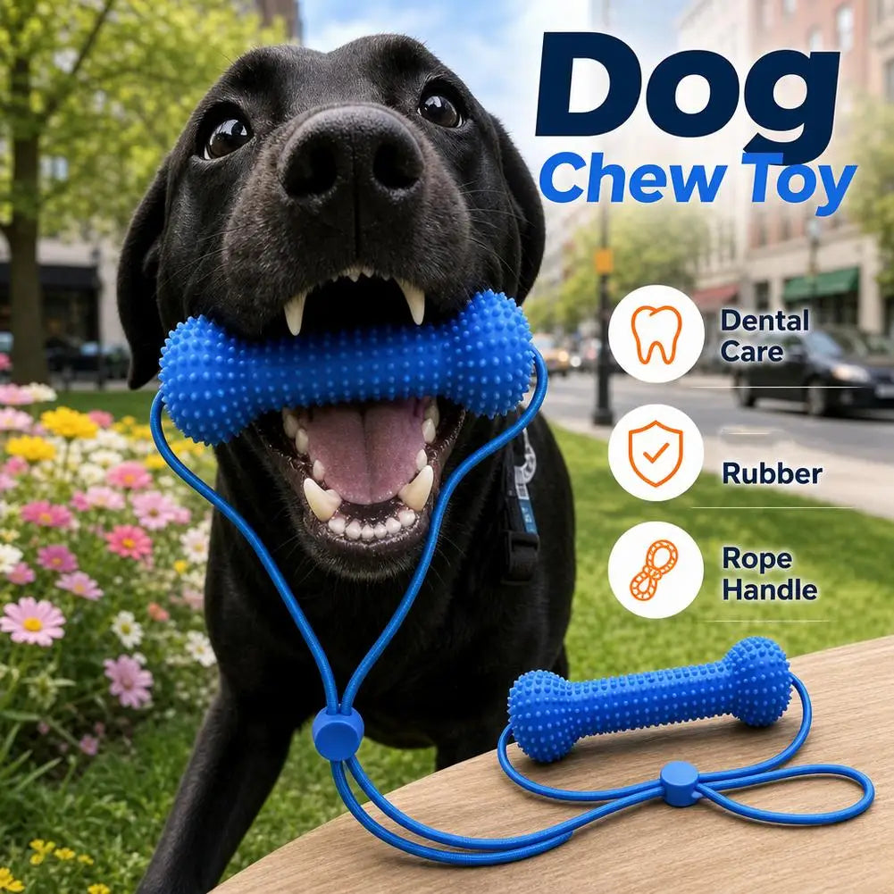 Jouet à mâcher pour chien avec corde – CLEVI Paris