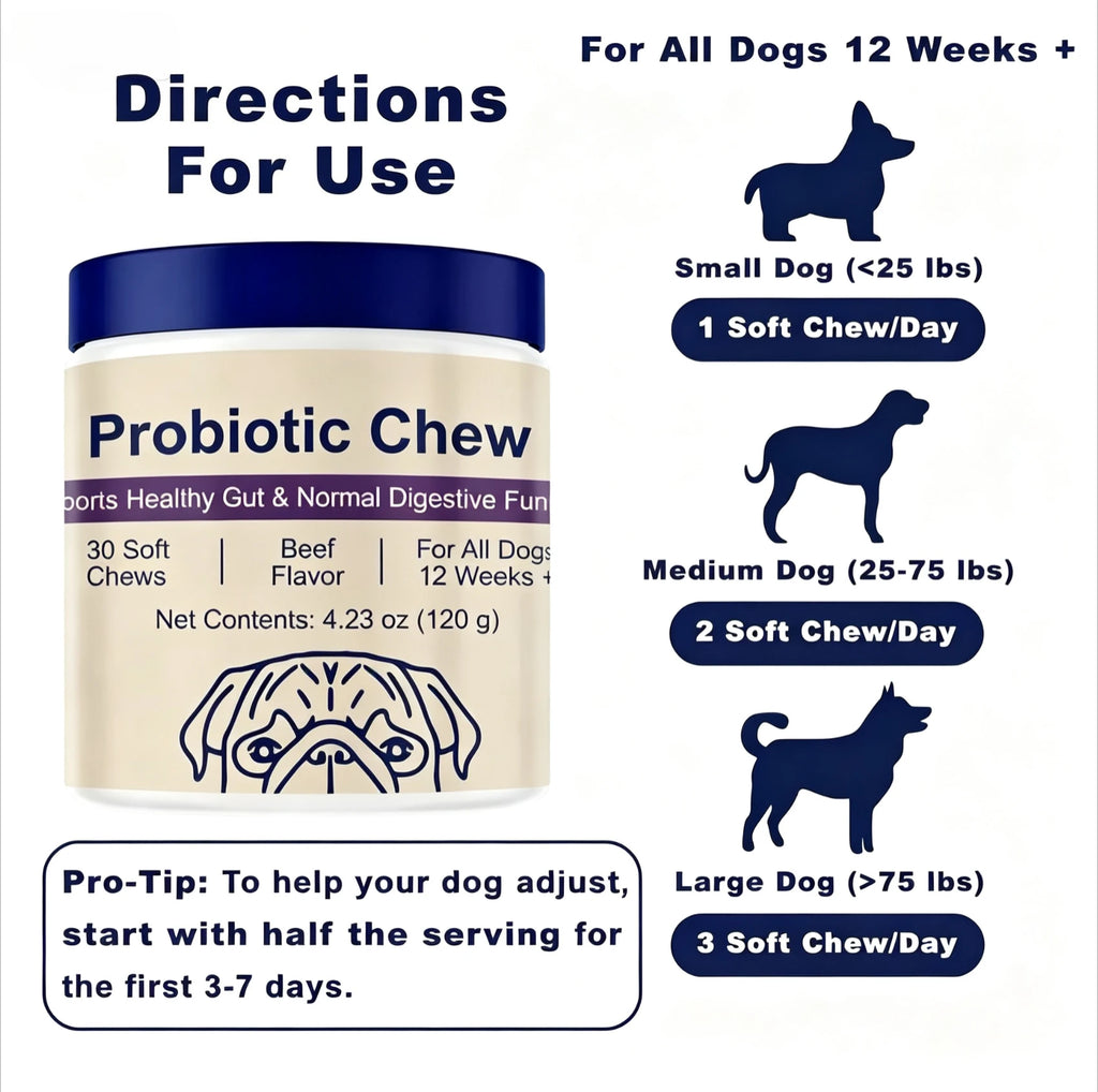 Probiotiques pour chiens, saveur bœuf – CLEVI Paris