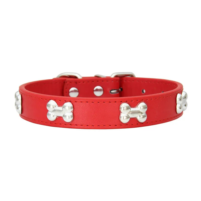 Collier pour chien en cuir multicolore – CLEVI Paris