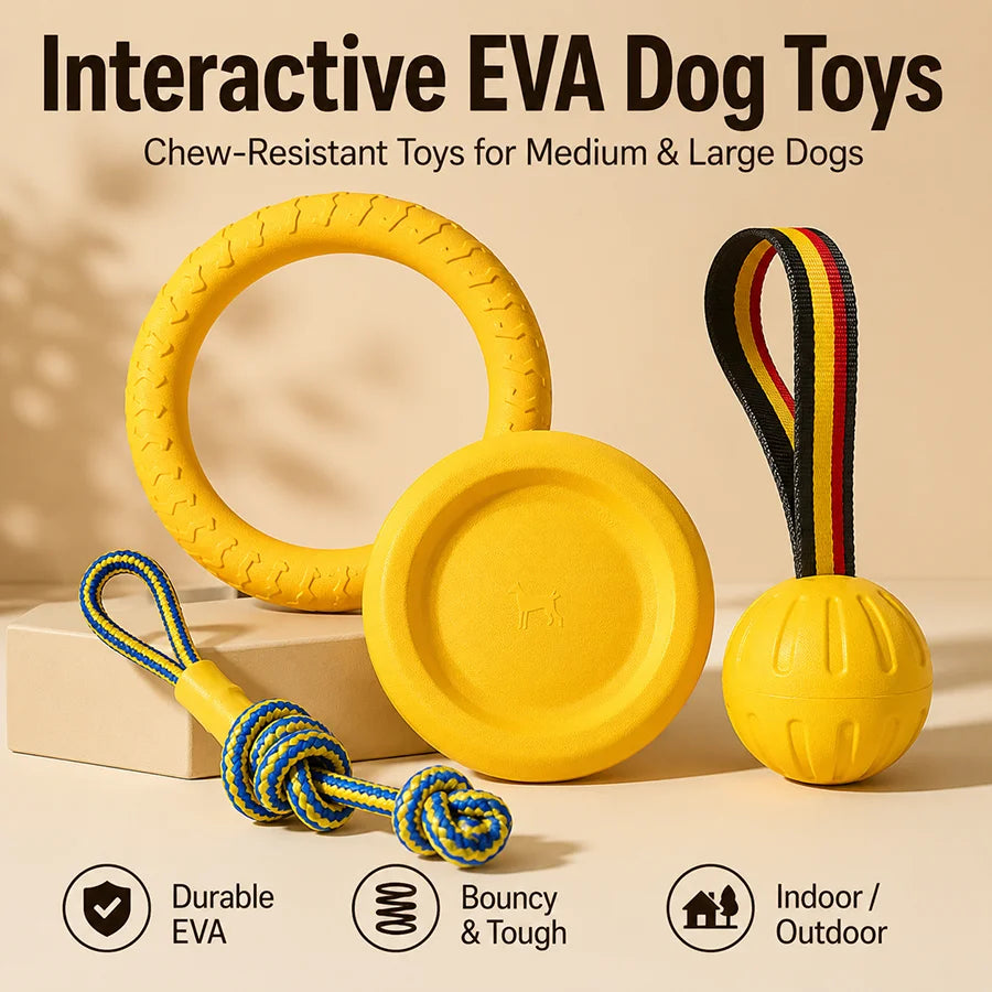 Ensemble de jouets pour chien – CLEVI Paris