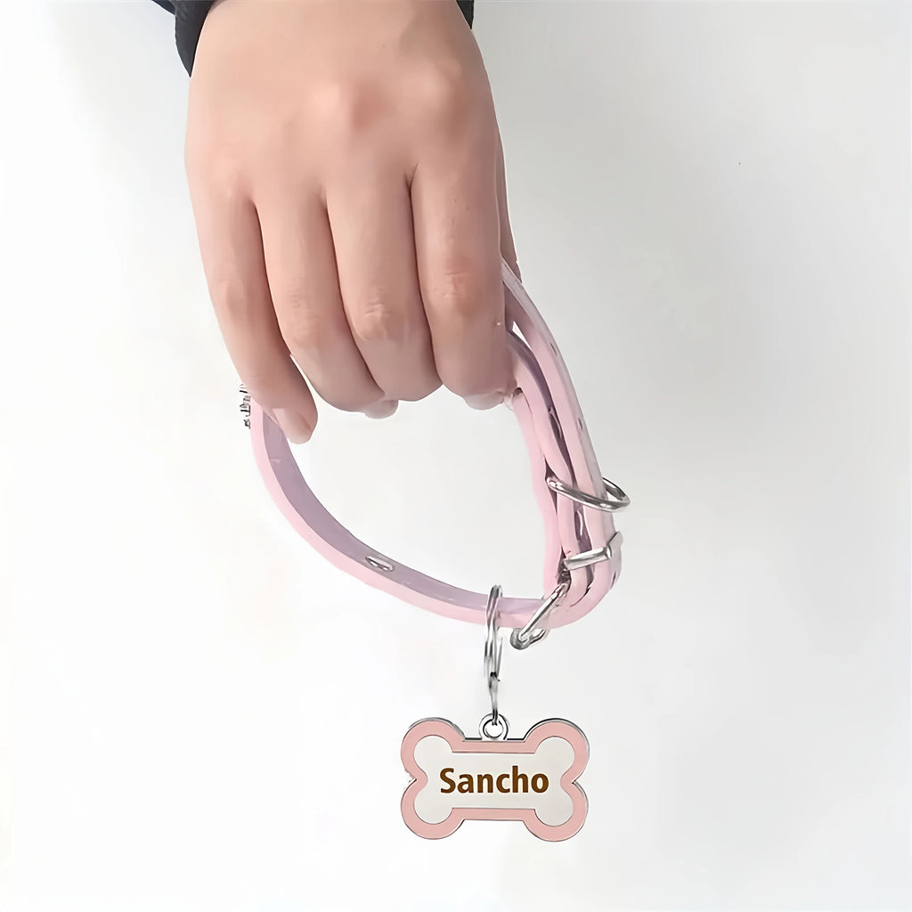Collier chien en cuir avec médaille gravée – CLEVI Paris