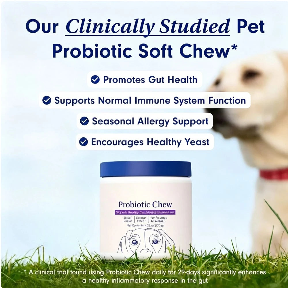Probiotiques pour chiens, saveur bœuf – CLEVI Paris