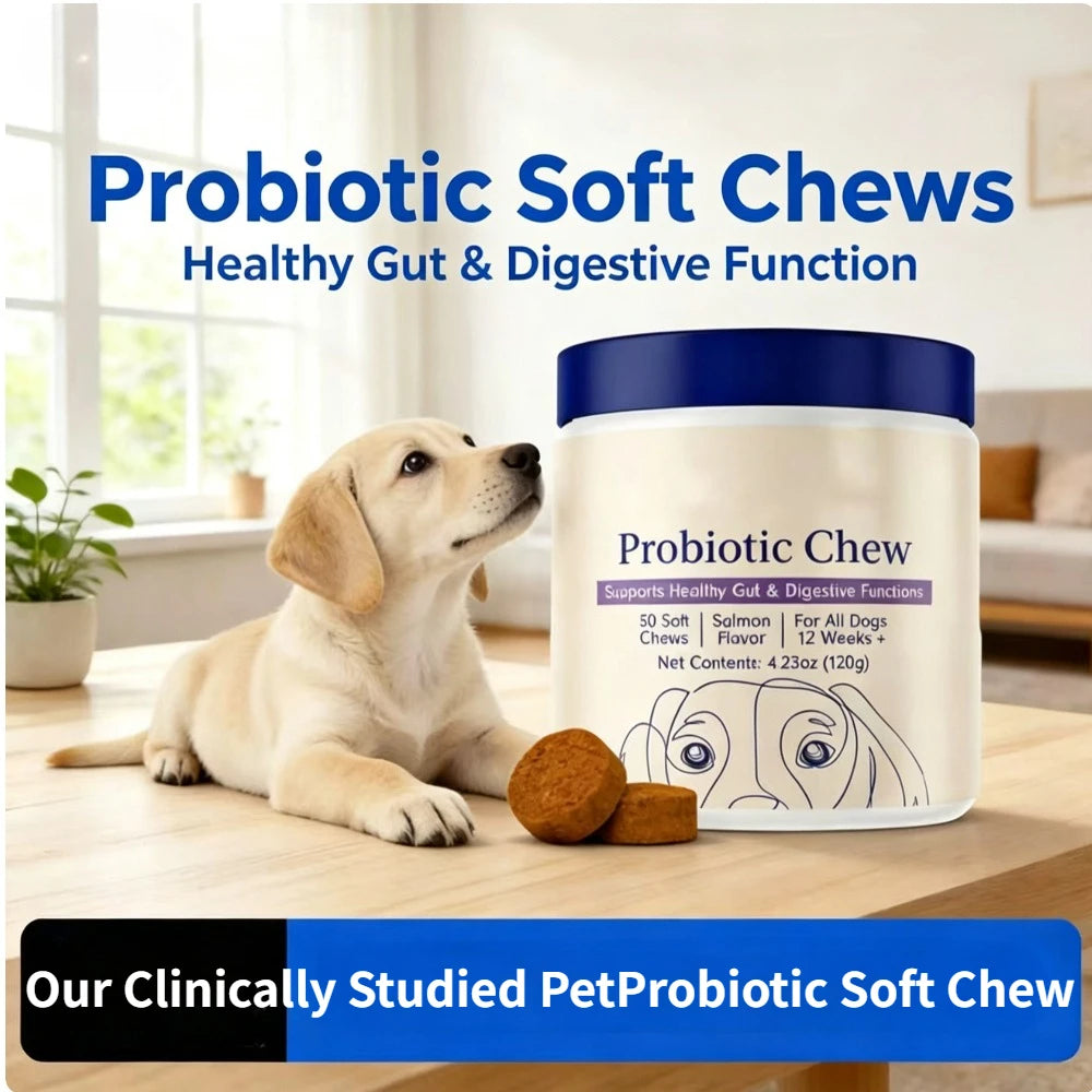 Probiotiques pour chiens, saveur bœuf – CLEVI Paris