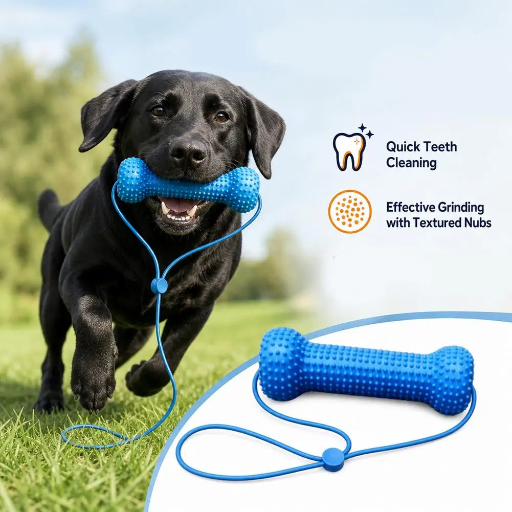 Jouet à mâcher pour chien avec corde – CLEVI Paris