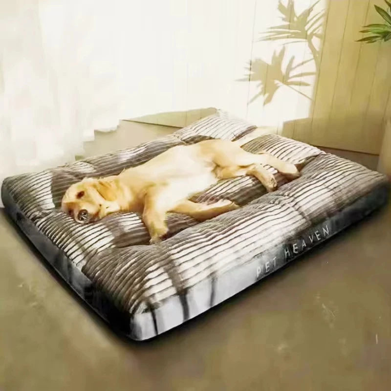 Coussin pour chien en velours côtelé lavable – CLEVI Paris