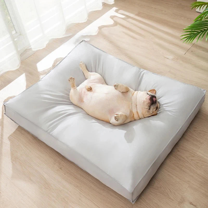 Lit imperméable pour chien et chat – CLEVI Paris