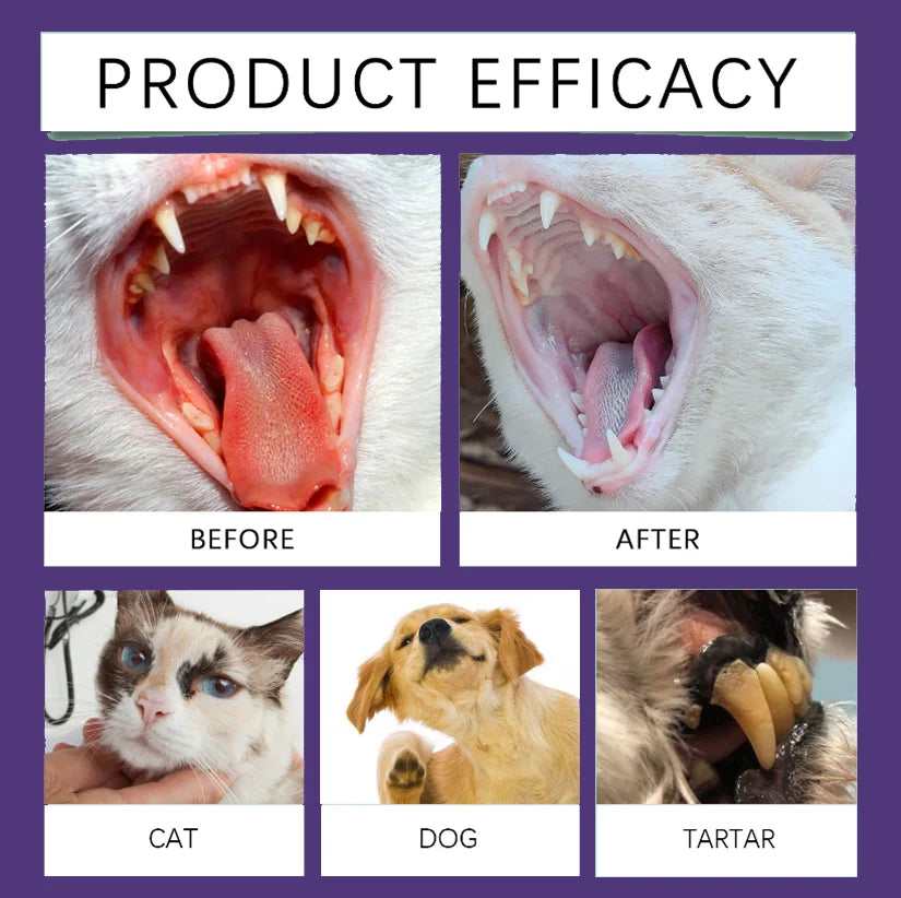 Spray bucco-dentaire pour chiens & chats – CLEVI Paris