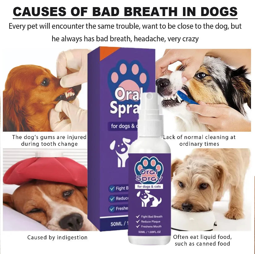 Spray bucco-dentaire pour chiens & chats – CLEVI Paris
