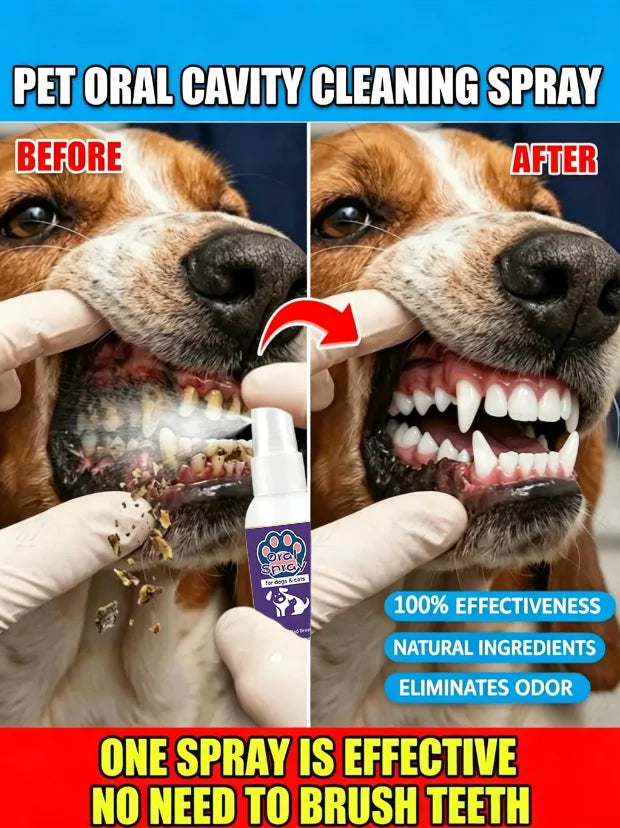 Spray buccal 30 ml et lingettes animaux – CLEVI Paris