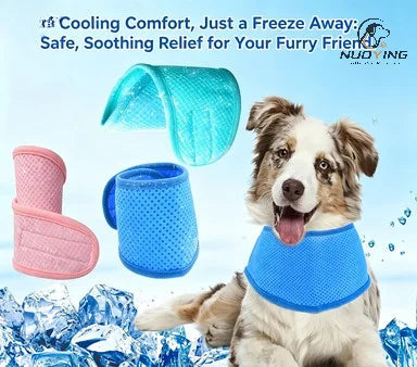 Bandana rafraîchissant pour chien et chat – CLEVI Paris