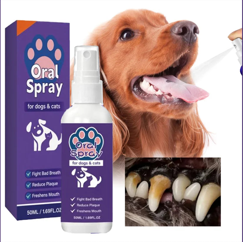 Spray bucco-dentaire pour chiens & chats – CLEVI Paris