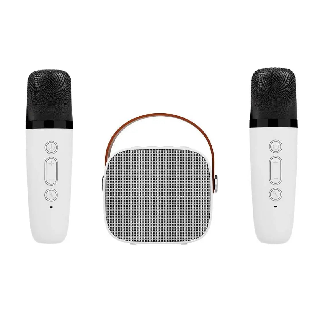 Machine Karaoké Portable Bluetooth Enceinte & 1-2 Micros Sans Fil – CLEVI Paris