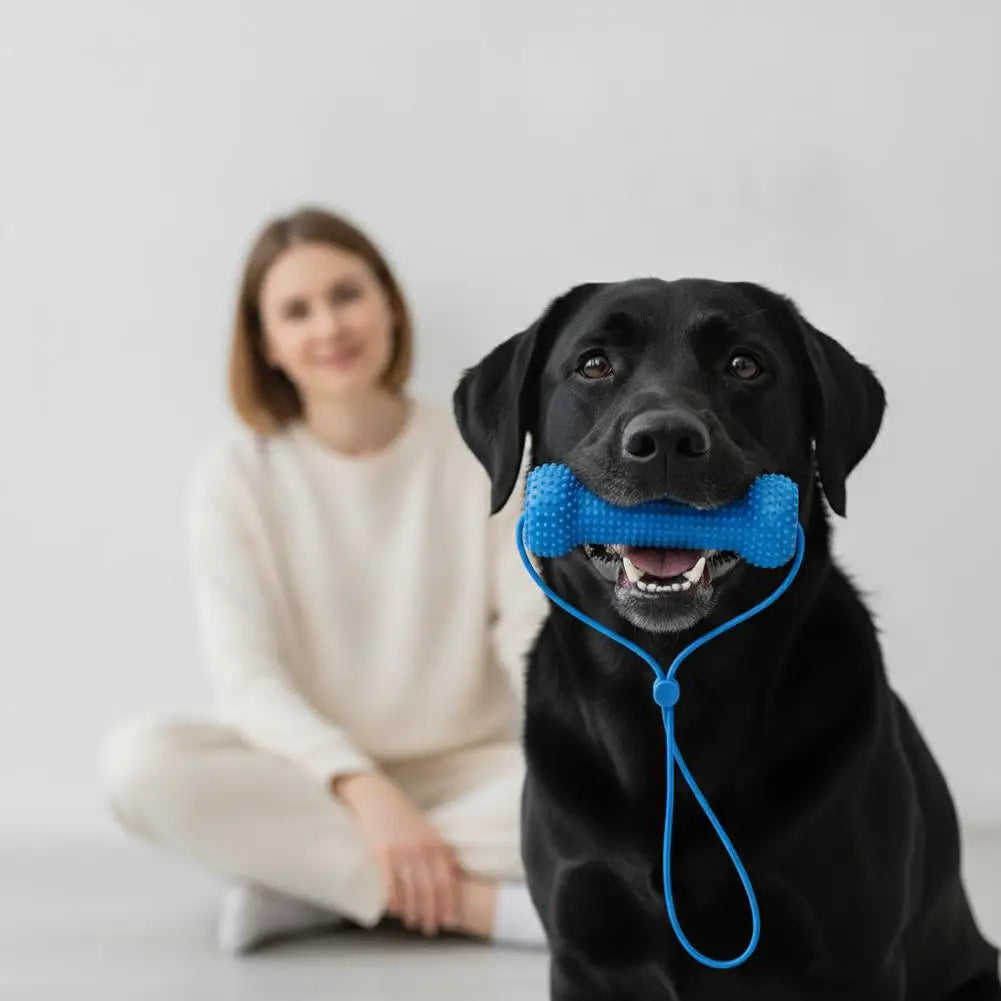 Jouet à mâcher pour chien avec corde – CLEVI Paris
