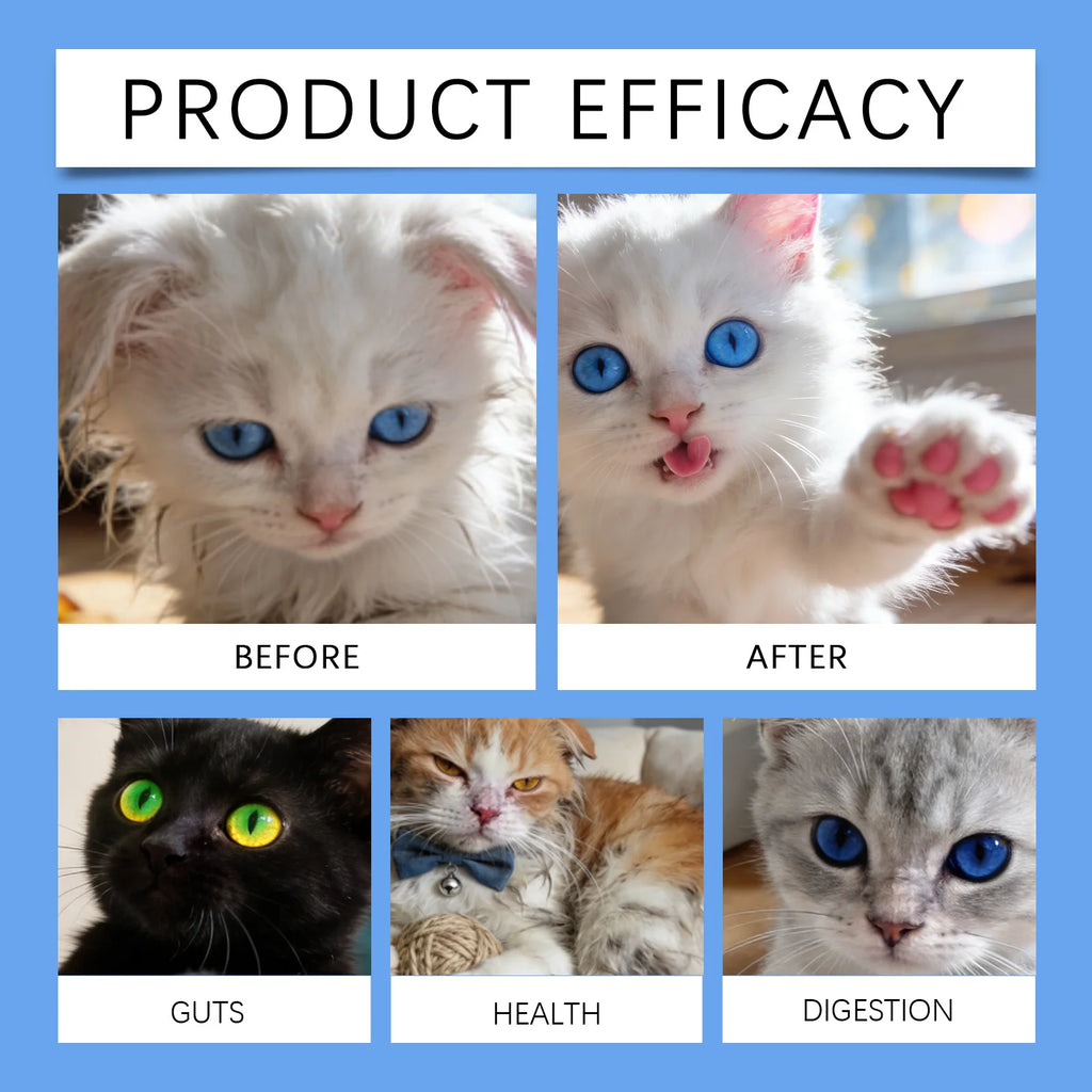 Gouttes probiotiques chat KRIATH 30 ml – CLEVI Paris