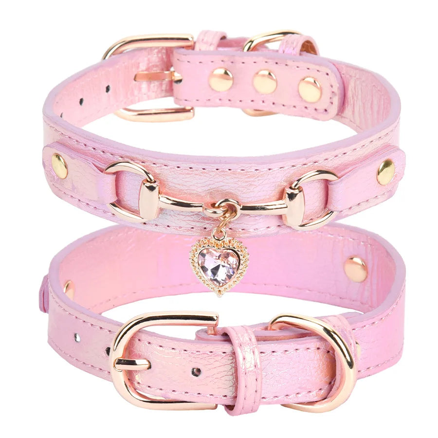 Collier pour chien en cuir et strass réglable – CLEVI Paris