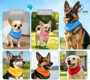 Bandana rafraîchissant pour chien et chat – CLEVI Paris