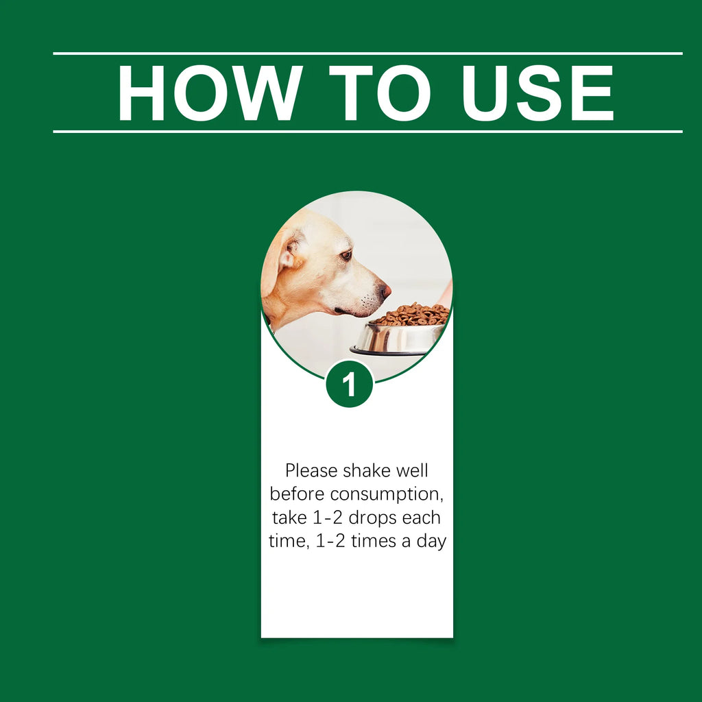 Complément multivitaminé pour chien – CLEVI Paris