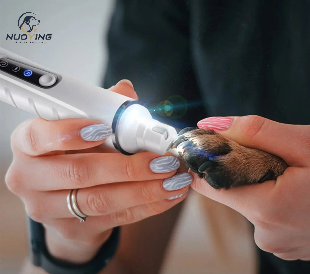 Lime à griffes rechargeable LED chien et chat – CLEVI Paris
