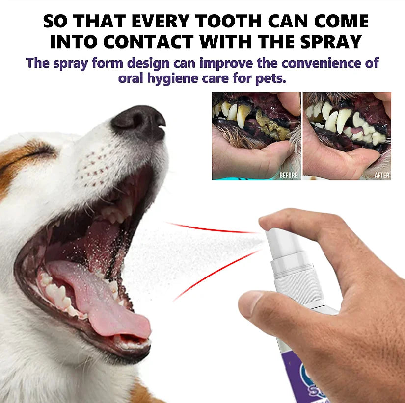Spray d’hygiène buccale pour animaux – CLEVI Paris