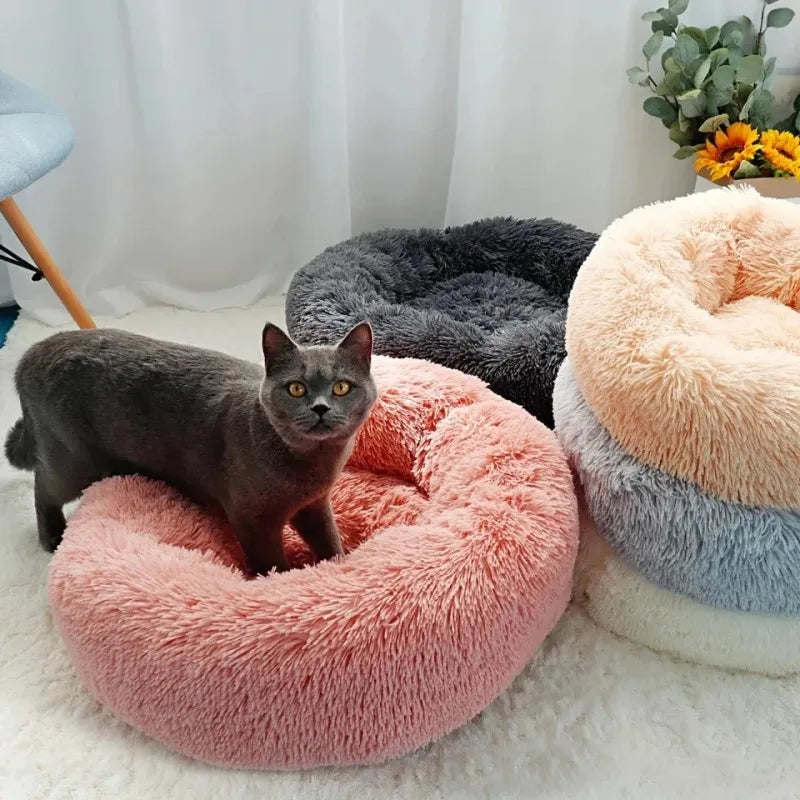 Panier rond en peluche pour chien et chat – CLEVI Paris