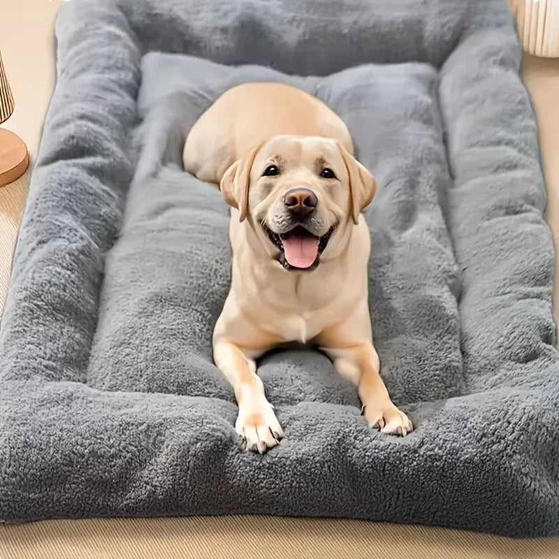Coussin rectangulaire pour chien et chat – CLEVI Paris