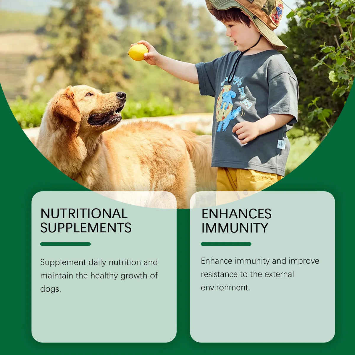 Complément multivitaminé chien YEGBONG – CLEVI Paris