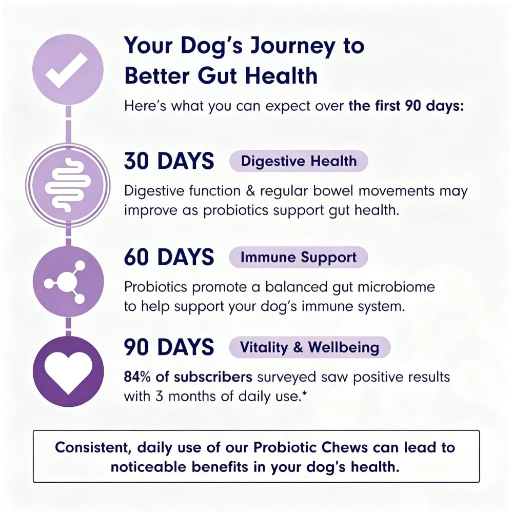 Probiotiques pour chiens, saveur bœuf – CLEVI Paris