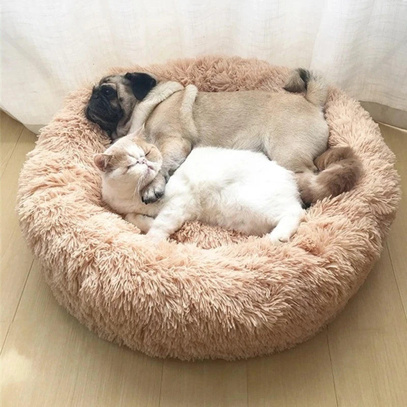 Panier rond en peluche pour chien et chat – CLEVI Paris